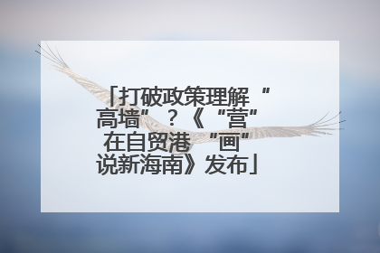 打破政策理解“高墙”？《“营”在自贸港 “画”说新海南》发布