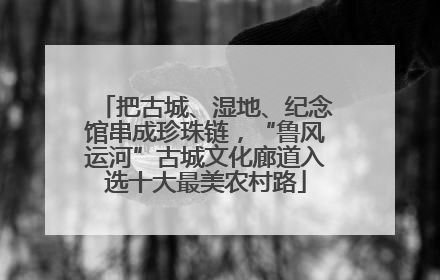 把古城、湿地、纪念馆串成珍珠链，“鲁风运河”古城文化廊道入选十大最美农村路