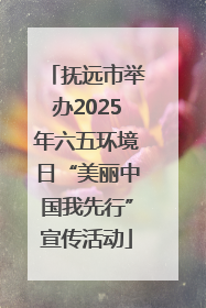 抚远市举办2025年六五环境日“美丽中国我先行”宣传活动