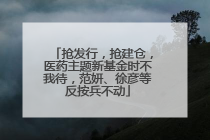抢发行，抢建仓，医药主题新基金时不我待，范妍、徐彦等反按兵不动