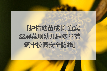 护佑幼苗成长 宜宾翠屏菜坝幼儿园多举措筑牢校园安全防线