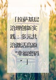拉萨基层治理创新实践：多元共治激活高原“幸福密码”