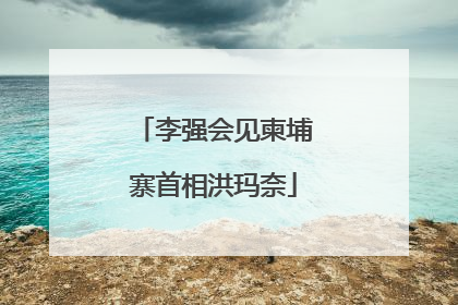 李强会见柬埔寨首相洪玛奈