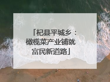 杞县平城乡：橄榄菜产业铺就富民新道路