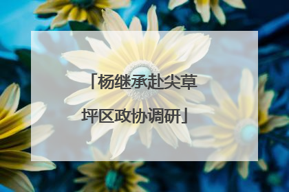 杨继承赴尖草坪区政协调研