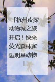 杭州夜探动物城之旅开启！快来荧光森林邂逅明星动物
