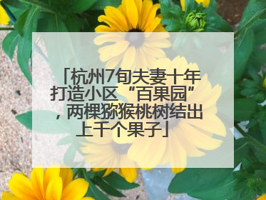 杭州7旬夫妻十年打造小区“百果园”，两棵猕猴桃树结出上千个果子