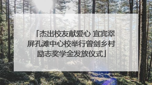 杰出校友献爱心 宜宾翠屏孔滩中心校举行曾剑乡村励志奖学金发放仪式