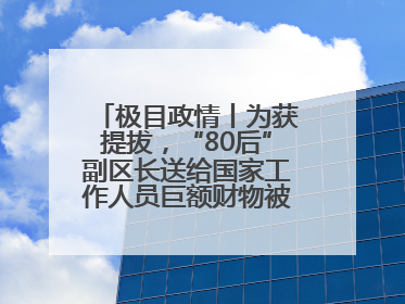 极目政情丨为获提拔，“80后”副区长送给国家工作人员巨额财物被“双开”