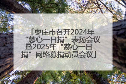 枣庄市召开2024年“慈心一日捐”表扬会议暨2025年“慈心一日捐”网络募捐动员会议