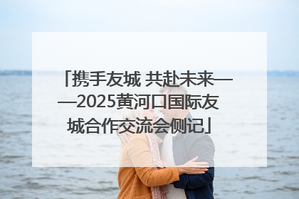 携手友城 共赴未来——2025黄河口国际友城合作交流会侧记