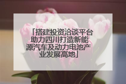 搭建投资洽谈平台 助力四川打造新能源汽车及动力电池产业发展高地