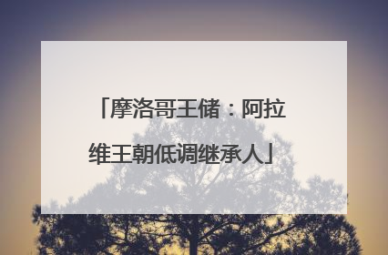 摩洛哥王储：阿拉维王朝低调继承人