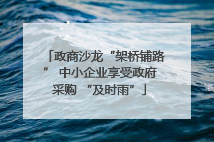 政商沙龙“架桥铺路” 中小企业享受政府采购 “及时雨”