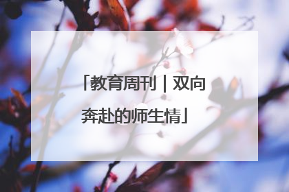 教育周刊｜双向奔赴的师生情