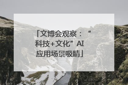 文博会观察：“科技+文化”AI应用场景吸睛