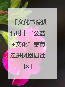 文化书院进行时丨“公益+文化”集市走进凤凰园社区
