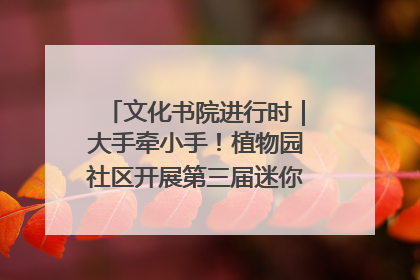 文化书院进行时｜大手牵小手！植物园社区开展第三届迷你马拉松活动
