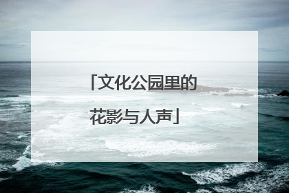 文化公园里的花影与人声