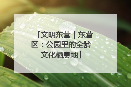 文明东营｜东营区：公园里的全龄文化栖息地