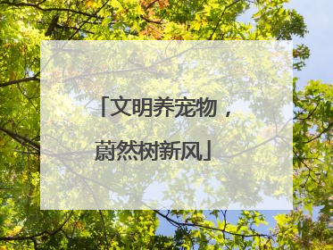 文明养宠物，蔚然树新风