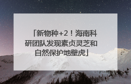 新物种+2！海南科研团队发现素贞灵芝和自然保护地壁虎
