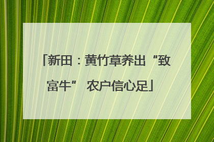 新田：黄竹草养出“致富牛” 农户信心足
