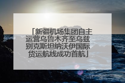 新疆机场集团自主运营乌鲁木齐至乌兹别克斯坦纳沃伊国际货运航线成功首航