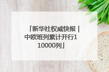 新华社权威快报｜中欧班列累计开行110000列