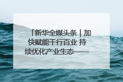 新华全媒头条｜加快赋能千行百业 持续优化产业生态——浙江推动人工智能健康有序发展观察