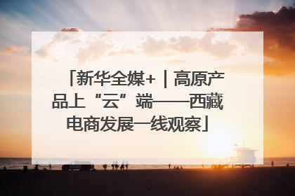 新华全媒+｜高原产品上“云”端——西藏电商发展一线观察