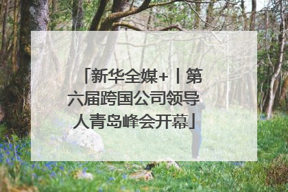 新华全媒+丨第六届跨国公司领导人青岛峰会开幕