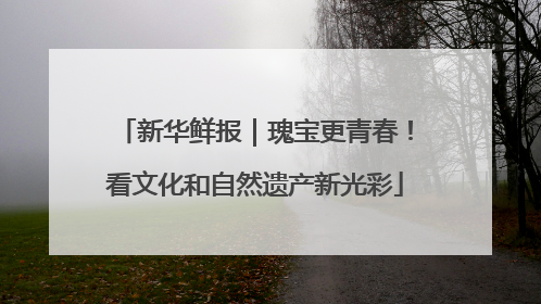 新华鲜报｜瑰宝更青春！看文化和自然遗产新光彩