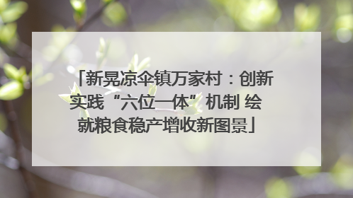 新晃凉伞镇万家村：创新实践“六位一体”机制 绘就粮食稳产增收新图景