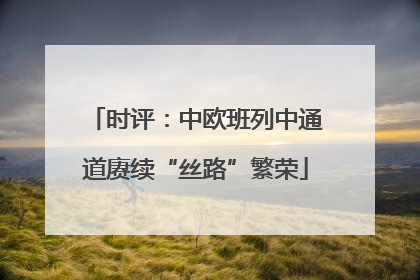 时评：中欧班列中通道赓续“丝路”繁荣