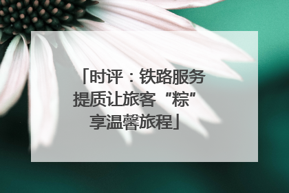 时评：铁路服务提质让旅客“粽”享温馨旅程