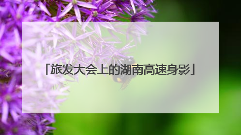 旅发大会上的湖南高速身影