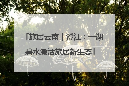 旅居云南｜澄江：一湖碧水激活旅居新生态