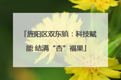旌阳区双东镇：科技赋能 结满“杏”福果