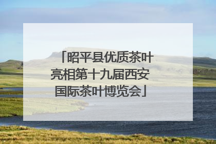 昭平县优质茶叶亮相第十九届西安国际茶叶博览会