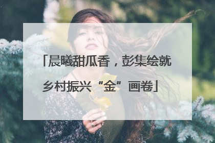 晨曦甜瓜香，彭集绘就乡村振兴“金”画卷