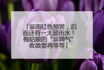 暴雨红色预警，后面还有一大波雨水！梅姑娘的“暴脾气”收敛要再等等