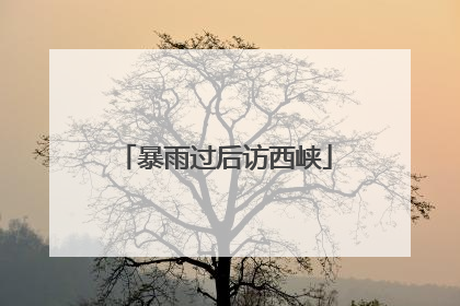 暴雨过后访西峡