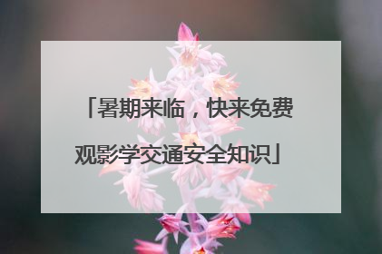 暑期来临，快来免费观影学交通安全知识
