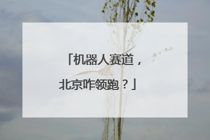 机器人赛道，北京咋领跑？