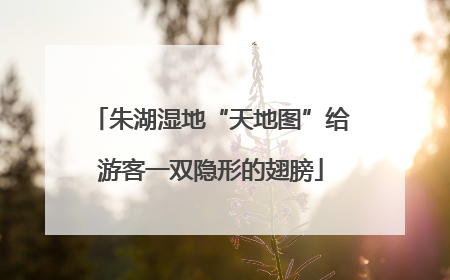 朱湖湿地“天地图”给游客一双隐形的翅膀