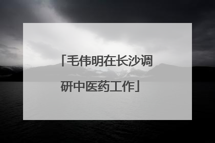 毛伟明在长沙调研中医药工作