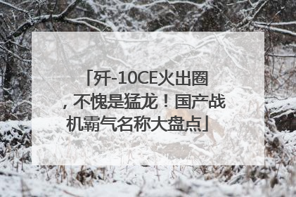 歼-10CE火出圈，不愧是猛龙！国产战机霸气名称大盘点