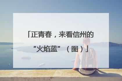正青春，来看信州的“火焰蓝”（图）