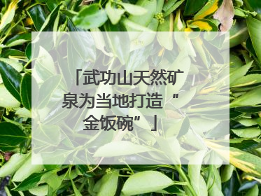 武功山天然矿泉为当地打造“金饭碗”
